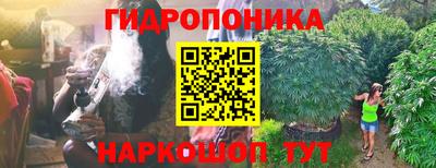 mdpv Усть-Илимск